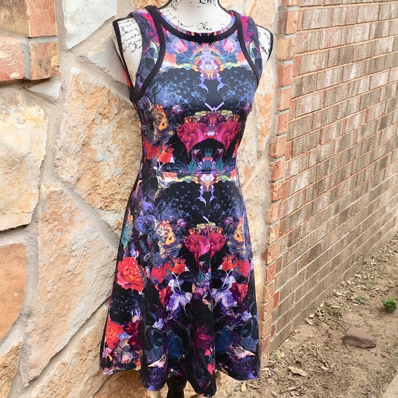 Nicole Miller Dresses & Skirts - EUC NICOLE MILLER Exquisite Print Skater Dress